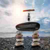 专​业‌的​搜‌索‌引‍擎‍有﻿哪‌些﻿